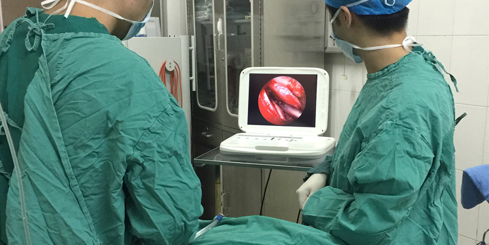 便攜式耳鼻喉內(nèi)窺鏡系統(tǒng) 便攜式耳鼻喉內(nèi)窺鏡系統(tǒng)