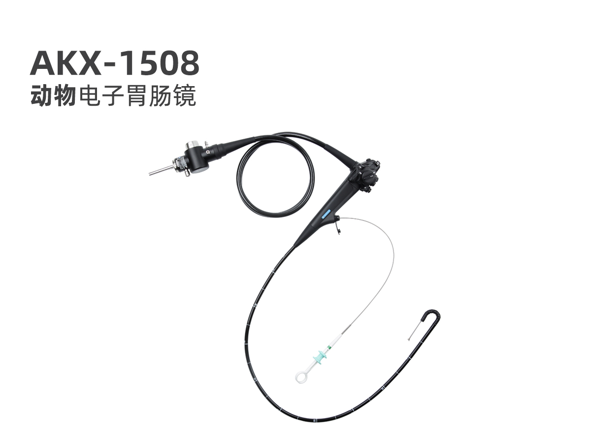 新產(chǎn)品:動(dòng)物電子胃腸鏡 AKX-1508 新產(chǎn)品:動(dòng)物電子胃腸鏡 AKX-1508